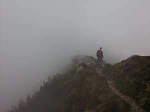 Seek Navigational Support to Find Your Way: 11 Reasons Why Small Businesses Fail